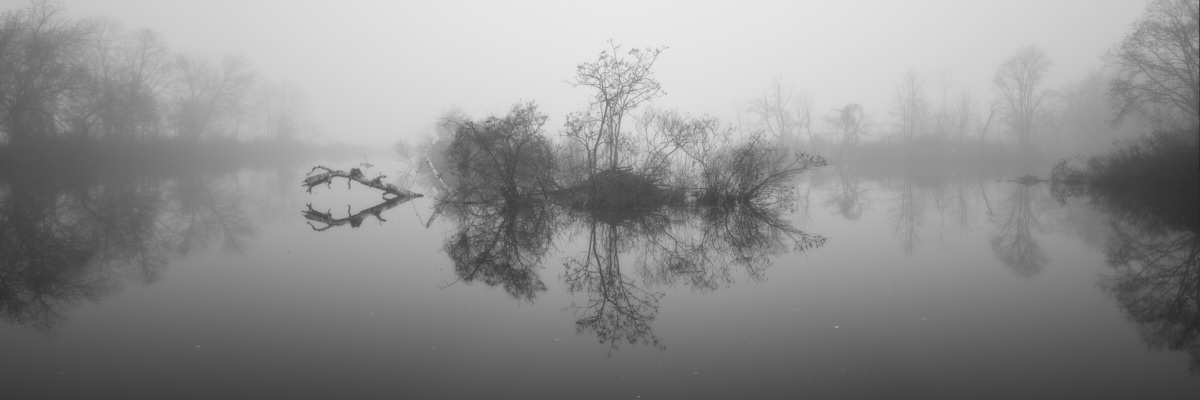 Foggy landscape with a calm body of water in the foreground reflecting surrounding leafless trees and shrubs. The fog obscures the background, creating a mysterious and serene atmosphere in black and white.